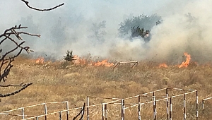 116 Jandarma'da korkutan yangın!