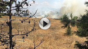 116 Jandarma er eğitim sahasında yangın. İşte o görüntüler...