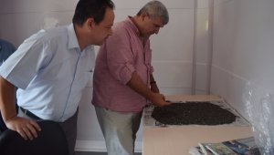 Biga'da ayçiçeği alımı başladı