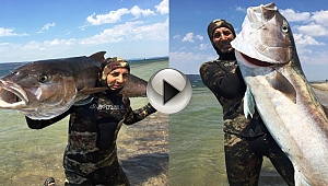 'Bu Balık Türkiye Rekoru' ! Zıpkınla 68 Kilo Balık Avladı İşte O Anlar...