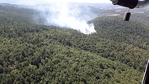 Çanakkale'nin Bayramiç İlçesinde Orman Yangını Çıktı!!!