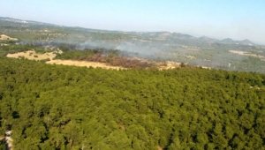 Çanakkale'de orman yangını kontrol altına alındı