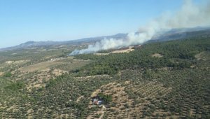 Çanakkale'de orman yangını