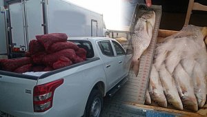 Çanakkale'de su ürünleri kontrolü