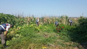 Çanakkale'de uyuşturucu operasyonu