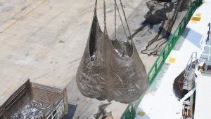 Dardanel, tarihinin en büyük ham madde alımını yaptı