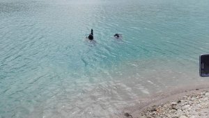 Ekipler kayıp vatandaş için seferber oldu