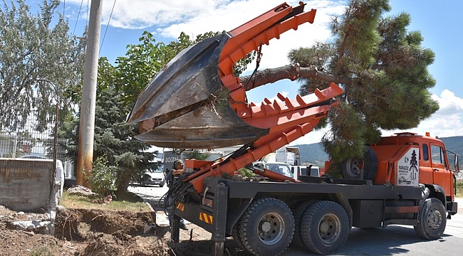 Emek Caddesi'nde Ağaç Deplase Çalışması…