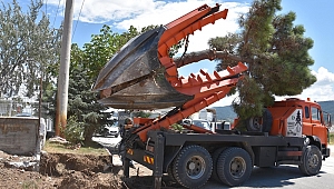 Emek Caddesi'nde Ağaç Deplase Çalışması…