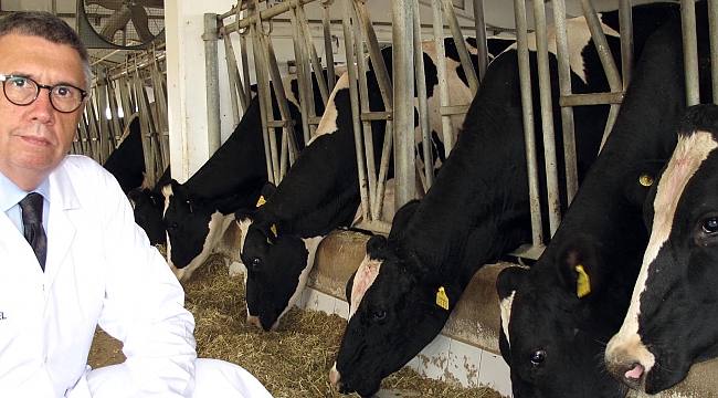  "Kurban Bayramı'nda dişi hayvan kesmeyin"