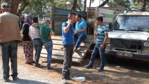 Kurbanlıklar görücüye çıktı