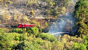 Sarıbeyli Köyü'ndeki ormanlık alanda çıkan yangın kontrol altına alındı...