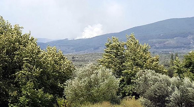 Son Dakika!!!Kazdağları'nda 4 Ayrı Noktada Orman Yangını Çıktı...
