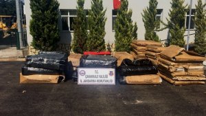 Umut tacirlerine ağır darbe