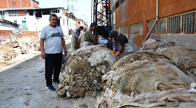  17 işletme bu yıl 500 bin küçükbaş hayvan derisi işledi...