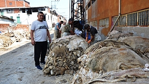  17 işletme bu yıl 500 bin küçükbaş hayvan derisi işledi...