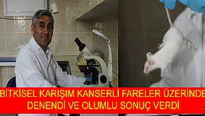 AKÜ'lü bilim adamları kanseri önleyip yaşamı uzatan ilaç keşfetti