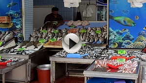 Av Yasağının Kalkmasıyla Birlikte Balık Tezgâhları Şenlendi...