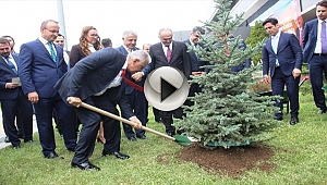 Başbakan Yıldırım fidan dikti