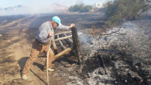 Çan'ın Dondurma Köyü'nde yangın