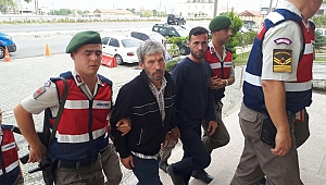 Çanakkale'de hayvan hırsızlığı