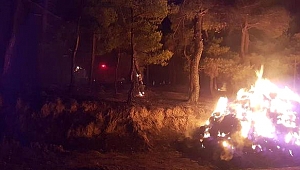 Köydeki 3 Yangında Kundaklama Şüphesi