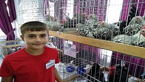 Lapseki'de 5. Geleneksel Kanatlı Hayvan Mezadı yapıldı