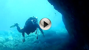 Milli Parkın Sualtı Güzellikleri Gün Yüzüne Vuruyor...