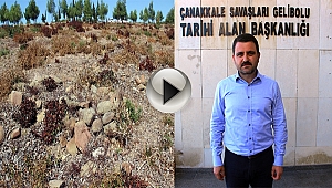  Tarihi Gelibolu Yarımadası'na 15 Yeni Şehitlik...