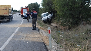  Ağaca çarpan otomobil sürücüsü yaralandı
