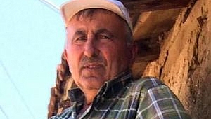 Ava Gitti, Kalbine Yenik Düştü...