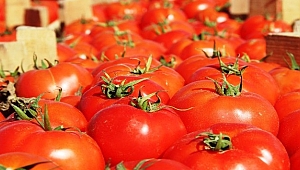 Meşhur Çanakkale domatesi 10 günde 3 kat zamlandı