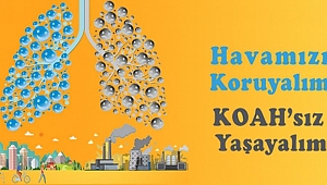 15 Kasım 2017 Dünya Koah Günü...