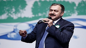 Bakan Eroğlu'ndan Çanakkale'ye 4 gölet müjdesi...