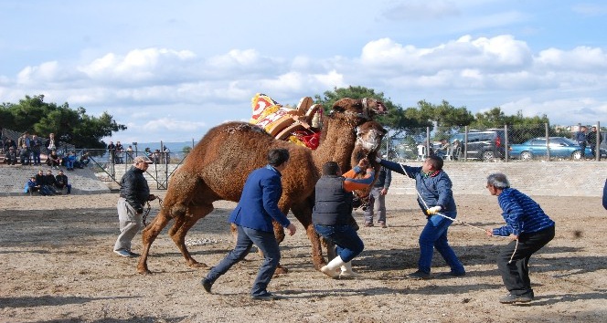Bayramiç'te havut giydirme töreni yapıldı