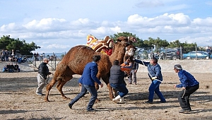 Bayramiç'te havut giydirme töreni yapıldı