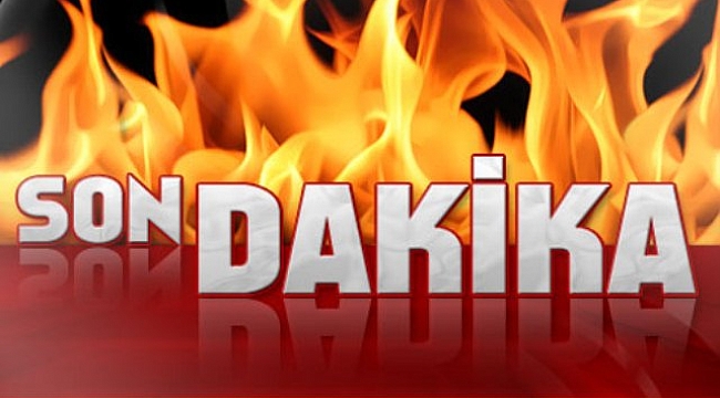 Bayramiç'te korkutan yangın