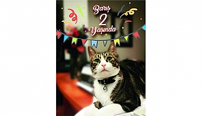 Çanakkale Belediyesinin " Barış'ı " 2 Yaşında...