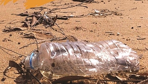 "Çanakkale Deniz Aşıkları" projesinde yılın son eğitimi Çanakkale Savaşları Gelibolu Tarihi Alan Başkanlığı işbirliğiyle gerçekleşiyor