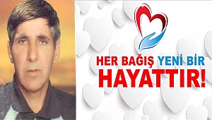 Kaya Ailesinden Beş Fidan...
