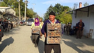 Köylülerin Gelir Kapısı; "Çam Melkisi..."