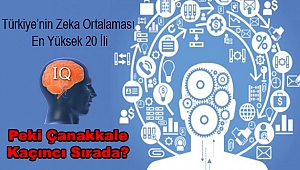 Türkiye'de Zeka Ortalaması En Yüksek 20 İl! Peki Çanakkale Kaçıncı Sırada?