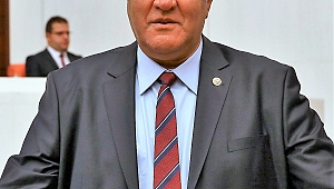 Türkiye'ye resmi yolla giren sigaranın maddi değeri 5 milyon lirayken, yakalanan kaçak sigaranın piyasa değeri 181 milyon lirayı geçti...