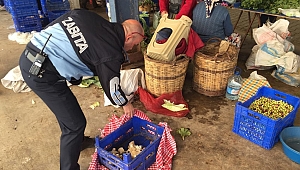 Zabıtadan Zehirli Mantar Uyarısı...