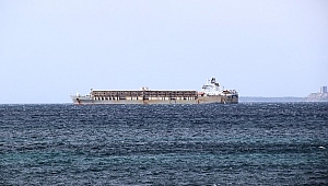 69 bin hayvan yüklü gemi Çanakkale Boğazı'nda eğim tespit edilmesi üzerine demirledi