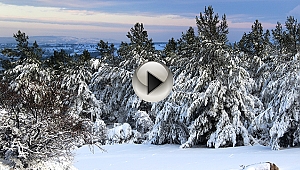 Beyaz örtü, kartpostallık görüntüler oluşturdu