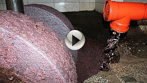 Binlerce yıllık taş baskı zeytinyağı geleneği