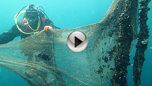  Çanakkale Boğazı hayalet ağlardan temizleniyor