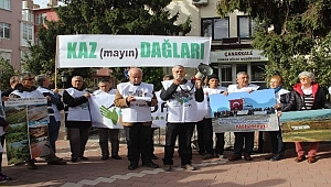 Çevreciler, ormanlar için toplandı