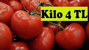 Domatesin fiyatı cep yakıyor
